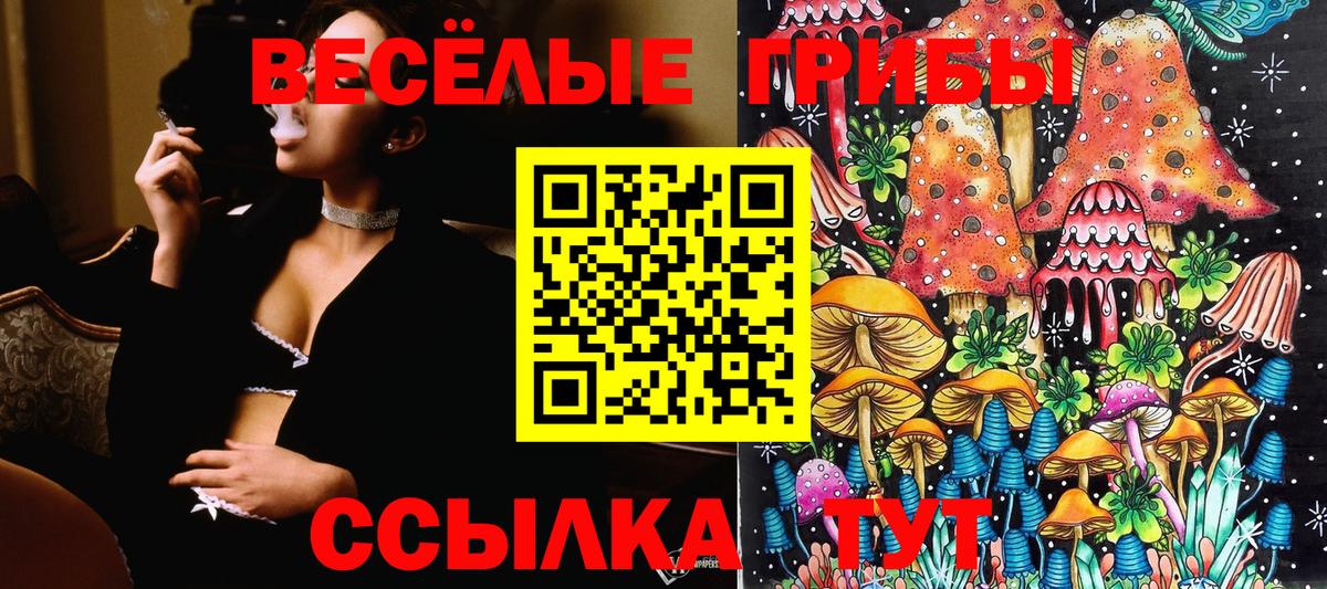 Галлюциногенные грибы мухоморы  Вход с VPN  Майкоп  Псилоцибиновые грибы ЛСД 