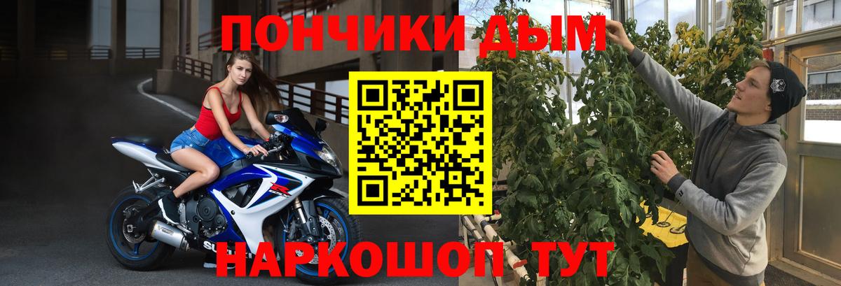 Марихуана индика Майкоп